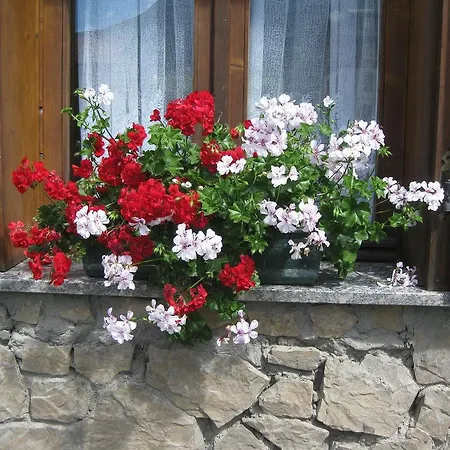 Apartmán Al Pian Bormio
